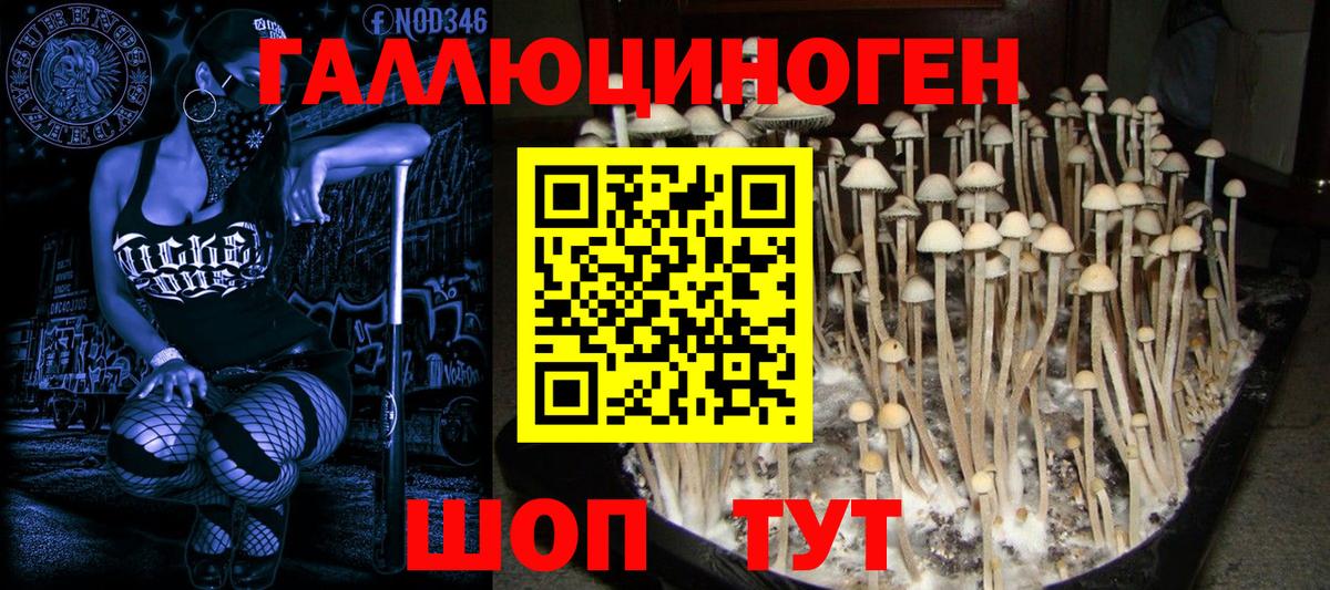 Галлюциногенные грибы мухоморы  наркотики  Елабуга  Вход с VPN 